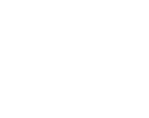 Pacini Falegnami